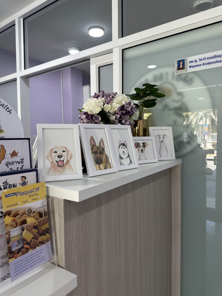 102 Pet Clinic (Dr.Peace) / ร้อยสองสัตวแพทย์ คลินิกสัตว์เลี้ยงหัวหิน
