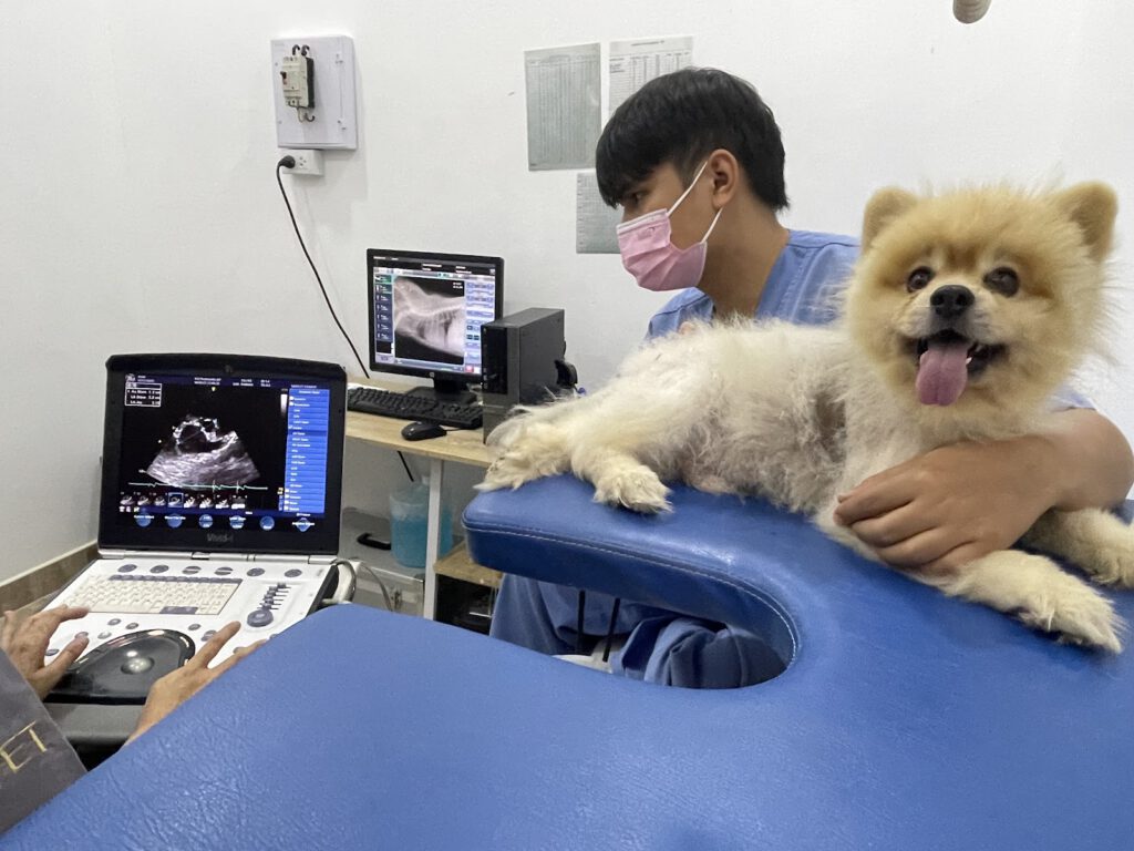 102 Pet Friends Animal Hospital – โรงพยาบาลสัตว์ 102 เพ็ท เฟรนด์