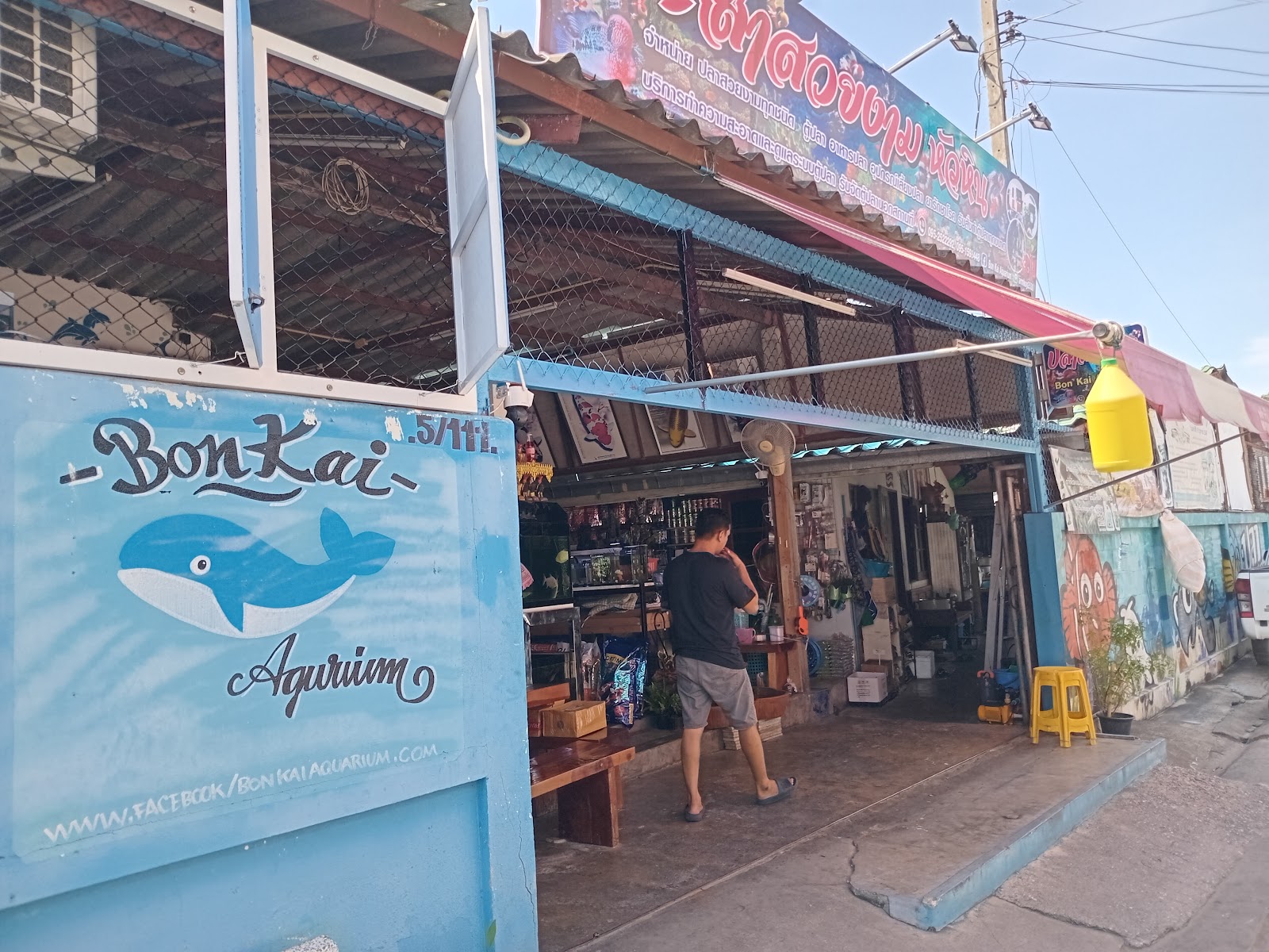 Bon Kai Aquarium หัวหินปลาสวยงาม