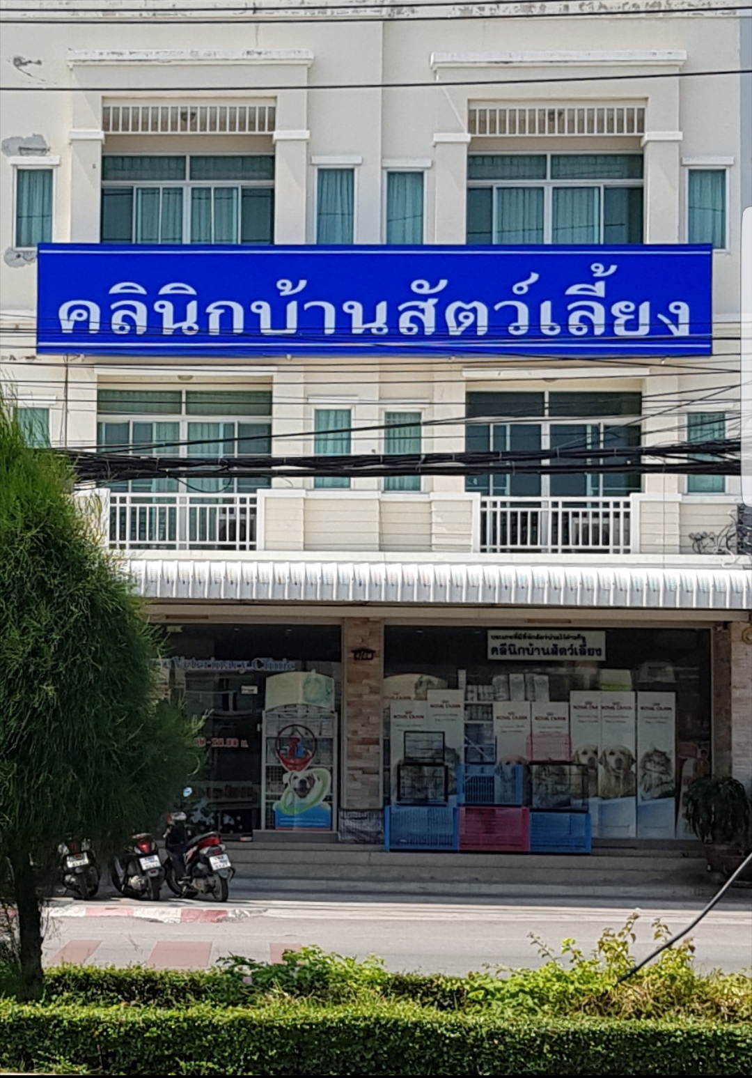คลินิก บ้านสัตว์เลี้ยง
