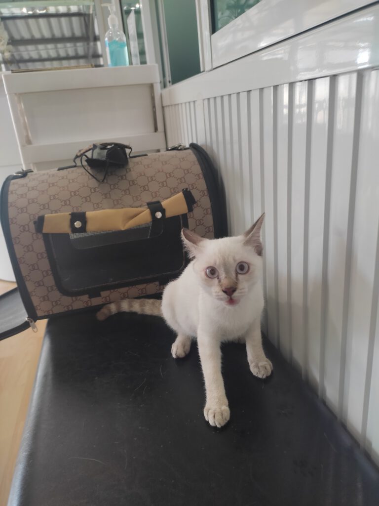 คลินิคสวนขวัญสัตวแพทย์ Suan Kwan Veterinary Clinic