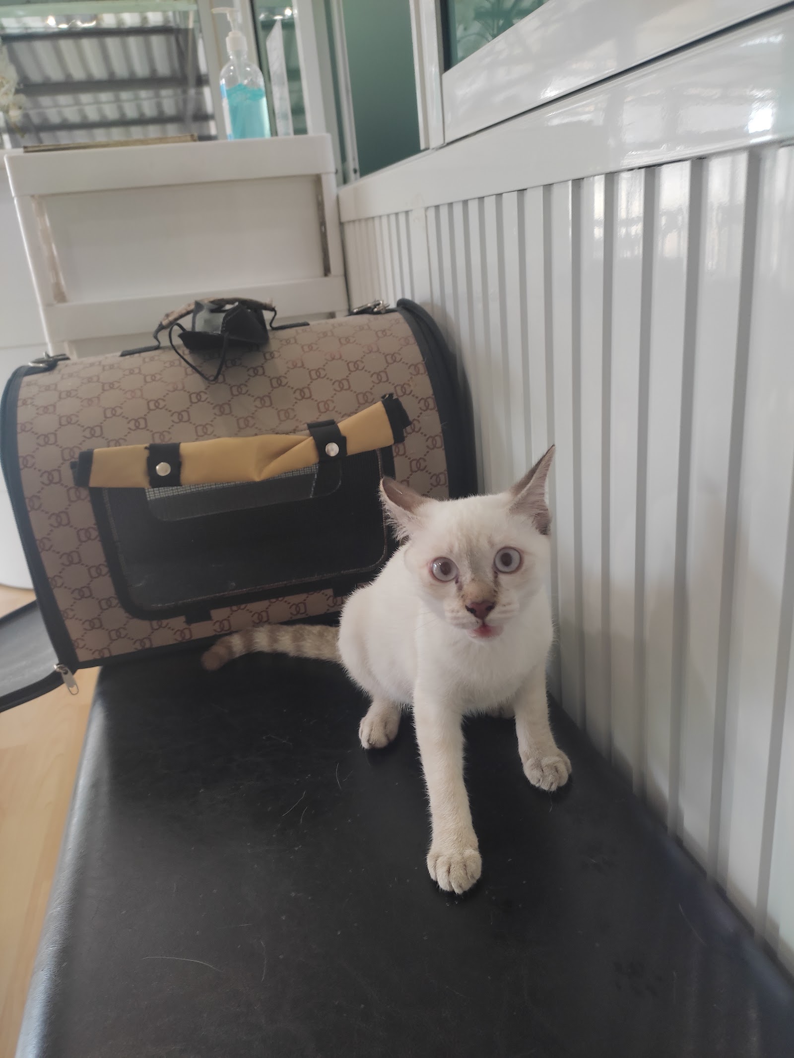 คลินิคสวนขวัญสัตวแพทย์ Suan Kwan Veterinary Clinic