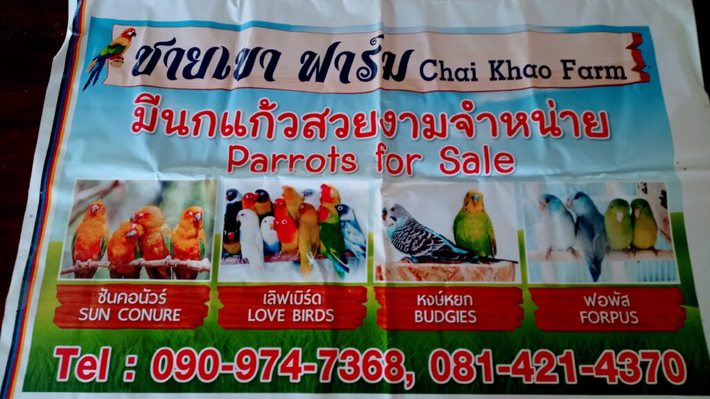 ฟาร์ม ชายเขา-Chay Khao Farm