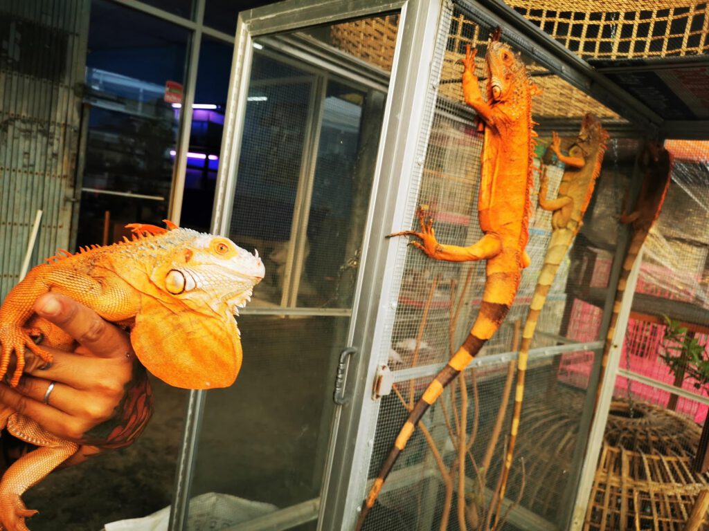 ร้านบ้านนกหัวหิน