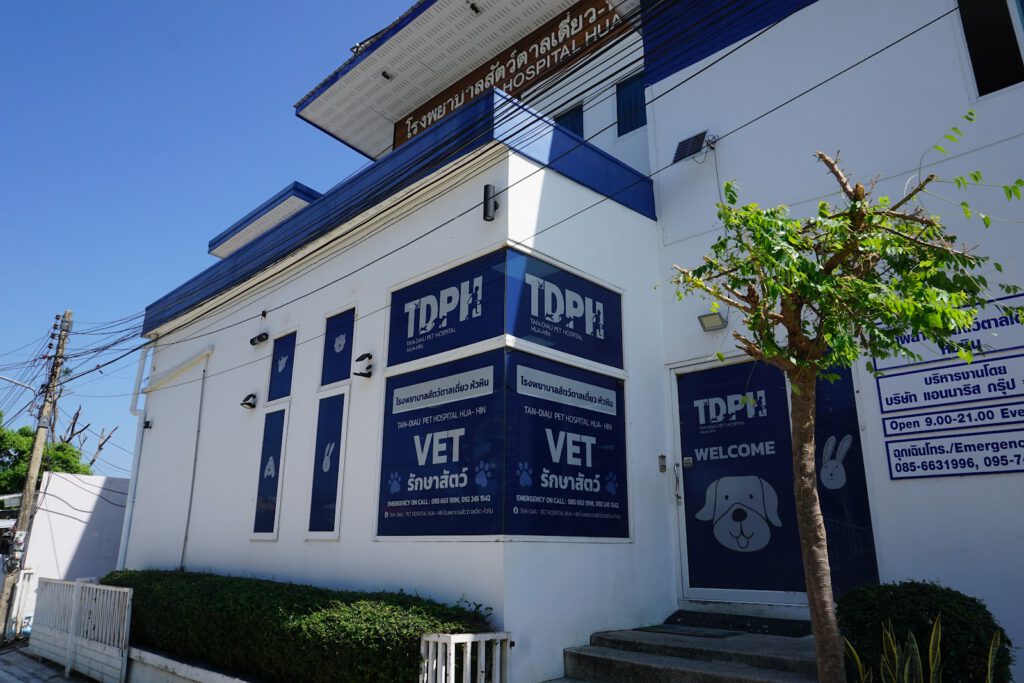 Taan Diew Animal Hospital