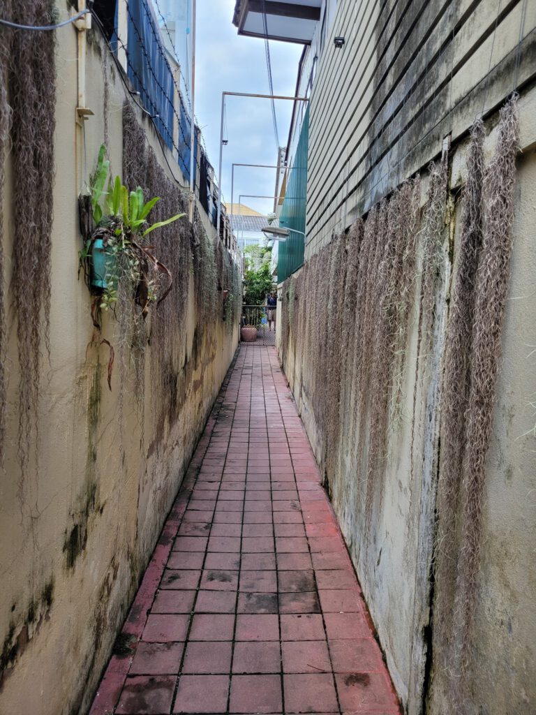 Thai-Tae Guest House